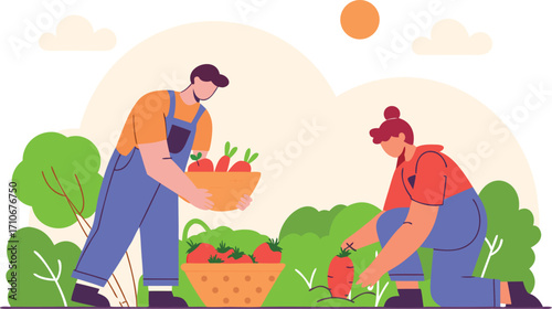 Harvesting Carrots and Tomatoes Farmers in the Field