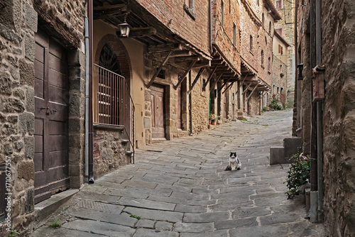 Cortona, Arezzo, Tuscany, Italy: the medieval Iannelli Alley with its ancient houses, in the historic center of the picturesque Tuscan town