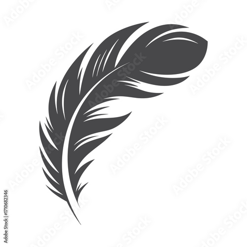 Graceful gray feather curls downward with exquisite, abstract detailing against a stark white backdrop