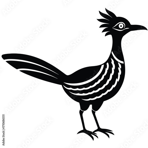 Black roadrunner bird silhouette with detailed markings on white background 