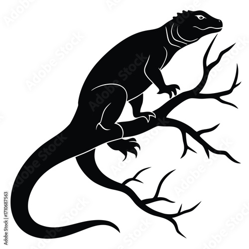 Black Silhouette of a Monitor Lizard Perched on a Tree Branch reptile animal