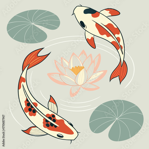 Two elegant koi fish swim gracefully around a delicate water lily flower and lily pads in a serene pond illustration