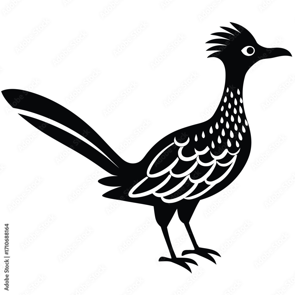 Fototapeta premium Black silhouette of a roadrunner bird with distinctive crest and spotted neck animal wildlife