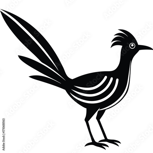 Black silhouette of a roadrunner bird with fanned tail 
