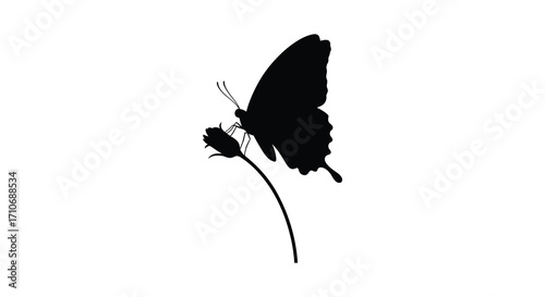 A delicate black silhouette of a butterfly resting on a stem