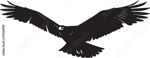 Black silhouette of a hawk with wings spread wide hawk silhouette