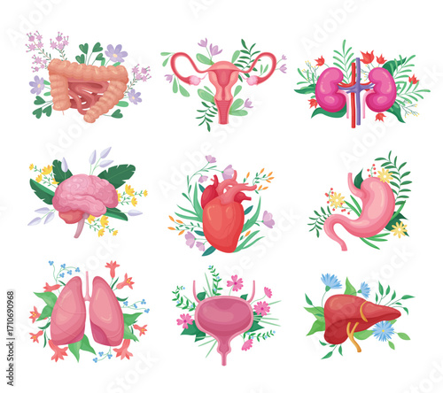 Human organs with flowers set vector illustration. Cartoon isolated anatomy collection with floral decoration, blossoms and healthy stomach heart kidney liver womb bladder lungs guts gall brain