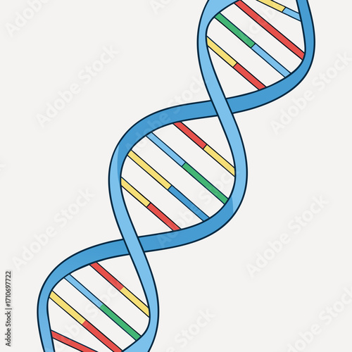 Colorful DNA double helix structure symbolizing genetics, science, and life's building blocks in a modern, clean style