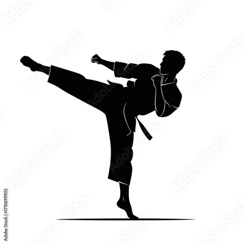 Dynamic martial artist executing powerful kick in silhouette, symbolizing strength and discipline