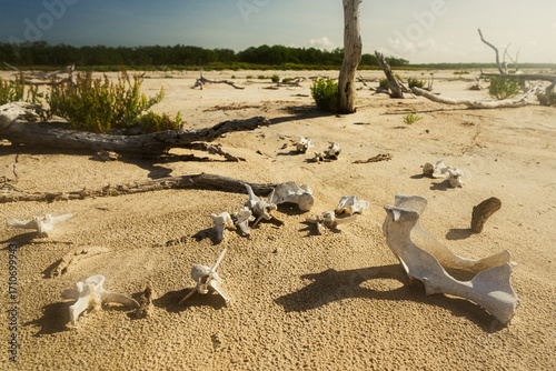 La Sal ViejaWillacy County, Texas09/01/2025Photo by David Pikediscinque@gmail.com