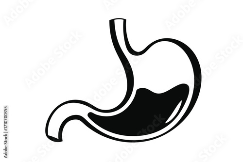 Isolated stomach anatomy displays liquid and gastric pits showcasing internal organ health, well being
