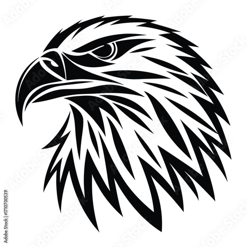 Majestic eagle head profile displays bold, stylized plumage in a striking monochrome composition