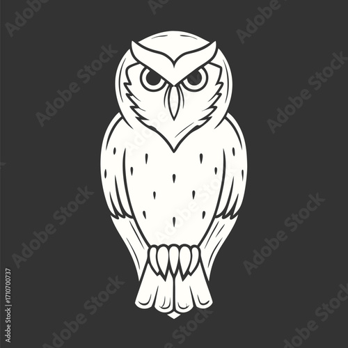 Majestic owl illustration exhibits piercing eyes and symmetrical feathers beautifully