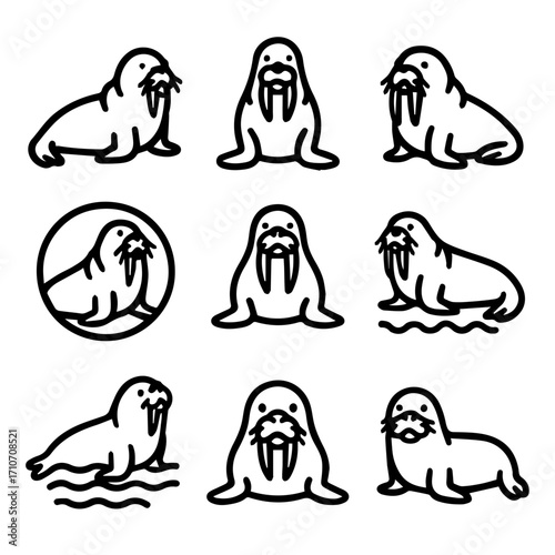 Nine black and white outline illustrations of walruses in various poses and settings.