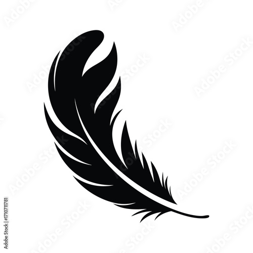 Single black feather elegantly isolated against a plain background, displaying the plume's delicate texture