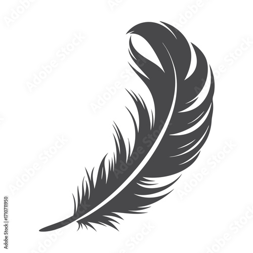 Single gray feather gracefully curves across the plain white backdrop creating soft natural shadows