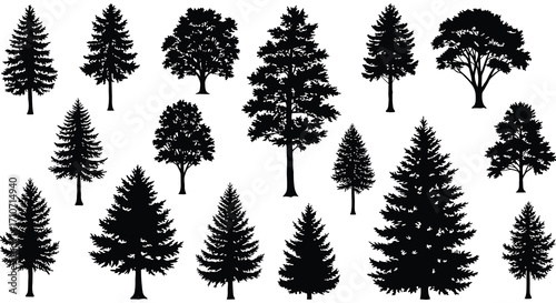 Collection of various black silhouette trees and coniferous forest elements