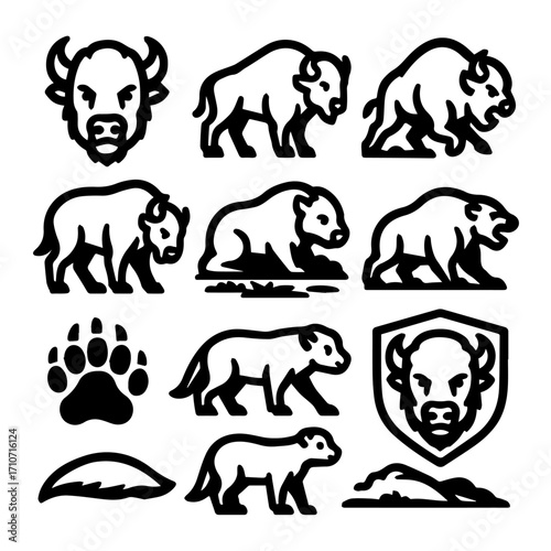 Bold Line Art Bison Collection Head Walking and Resting Poses.