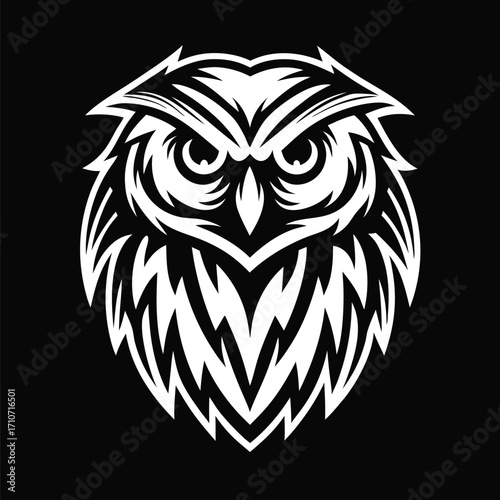 Striking stylized owl illustration gazes intensely with its piercing eyes on black