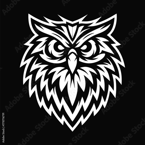 Striking white owl stares ahead with powerful eyes on black