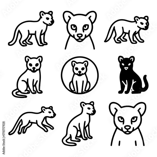 Photography Collection of Cute Black and White Outline Drawings of Small Wild Cats