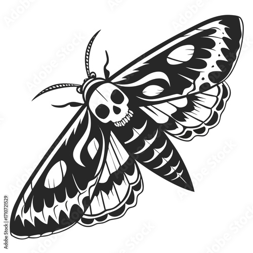 Death s head moth silhouette isolated on white background