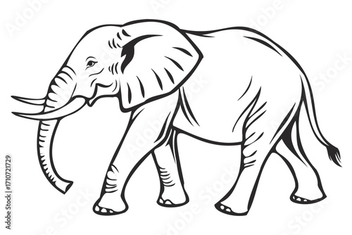 elephant vector illustration