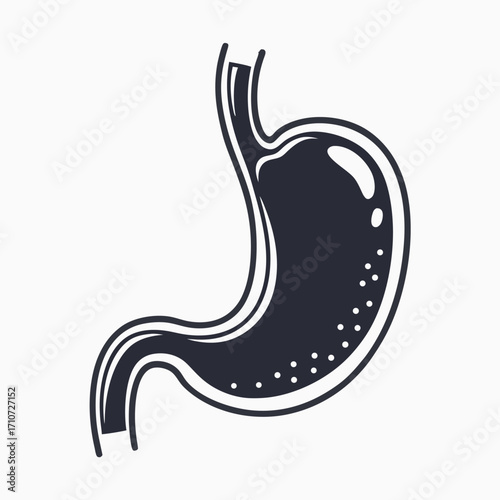 Two stomach with internal wavy lines are displayed on white background