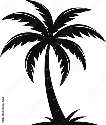 Flat Black Silhouette of Coconut Tree with Long Curved Leaves on White Background