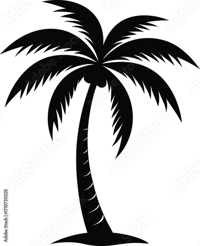 Flat Black Silhouette of Coconut Tree with Long Curved Leaves on White Background