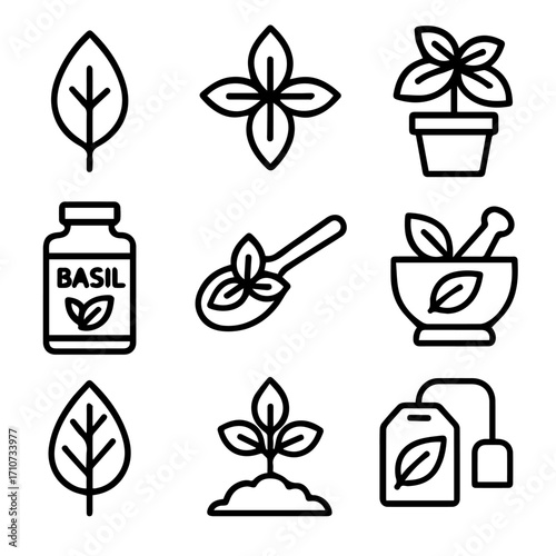 Outlined Basil Icons Depicting Leaves Plants and Culinary Preparations.