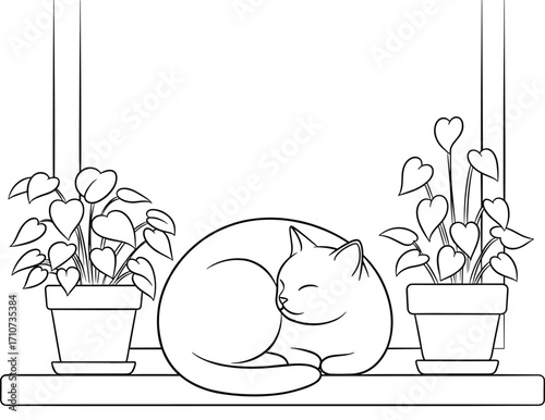 Sleeping Cat on Window Sill