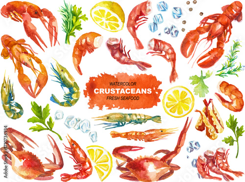 Watercolor lobster, crayfish, crabs, shrimps
