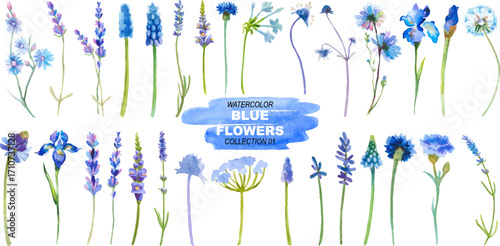 Vector watercolor painted blue flowers clipart