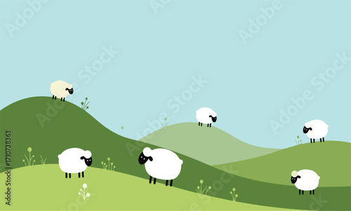 sheep on the meadow