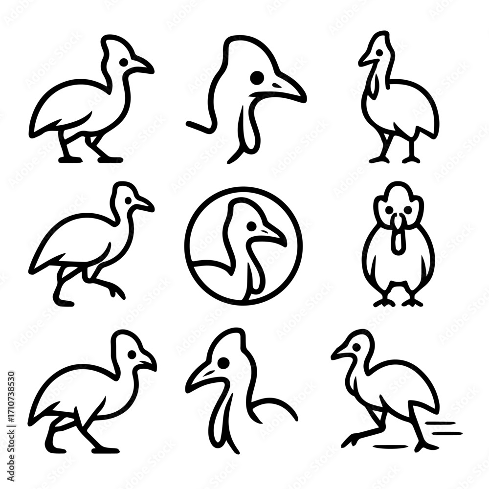 Obraz premium Stylized Cassowary Bird Illustrations in Various Poses Black Outline Design.