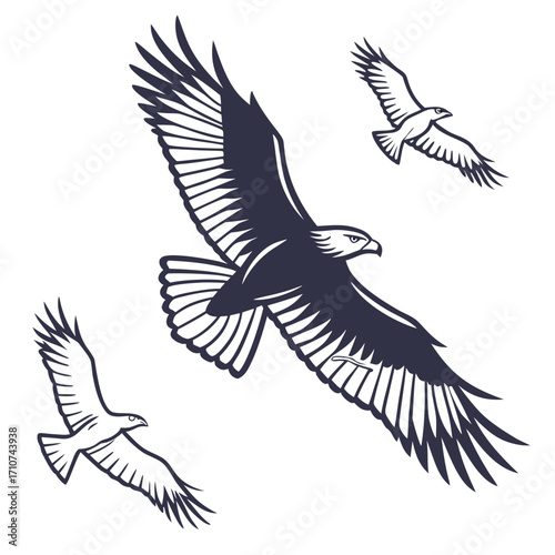 Three stylized eagles in flight with spread wings against a clean white background creating a sense of freedom and power