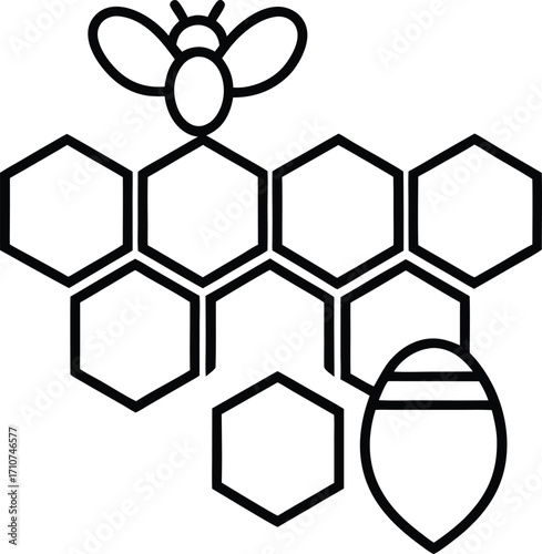 Black outline bee and honeycomb graphic with shield shape hexagon insect
