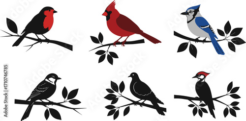 Colorful bird vector set perched on branches, minimal nature illustrations for wildlife design, seasonal decor, species identification, and artistic inspiration