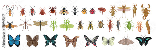 Mega set of realistic insect. Set of realistic insects from above. Vector insects on a white background. Dragonfly, ant, fly, wasp, bee, mantis, butterflies, lice, flea, mosquito, tick, slug, scorpion
