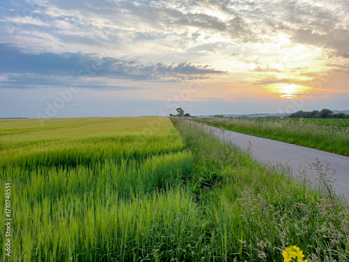 Summer sunset sky over Danish country side landscape with fields of crops