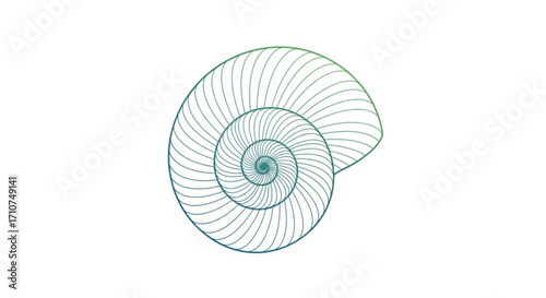 Spiral shell nautilus vector illustration graphic design nature sea ocean swirl pattern line art mollusk concept
