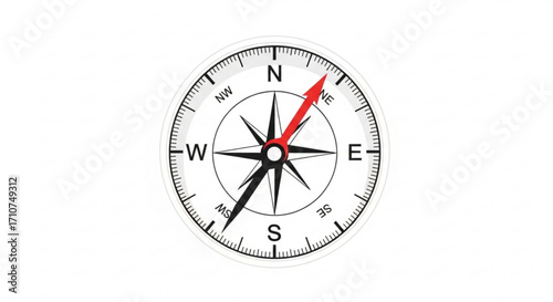 Compass rose navigation tool for direction finding and nautical orientation with north east and south west points