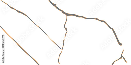 White marble with gold veins texture.