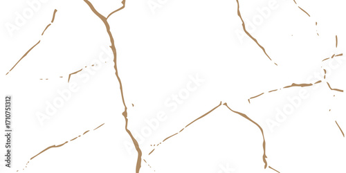 White marble with gold veins texture.