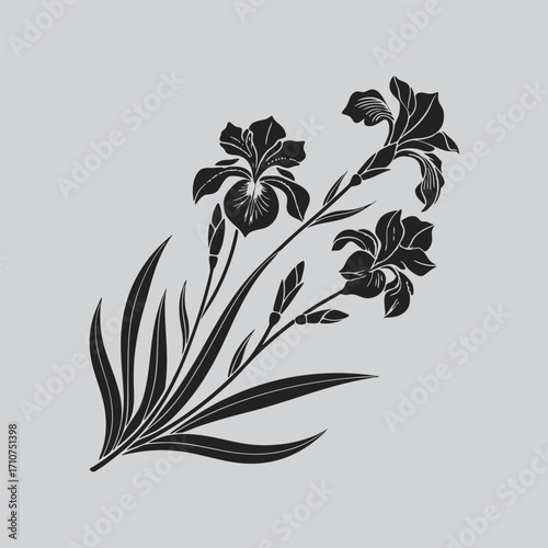 Botanical Iris Flower Illustration