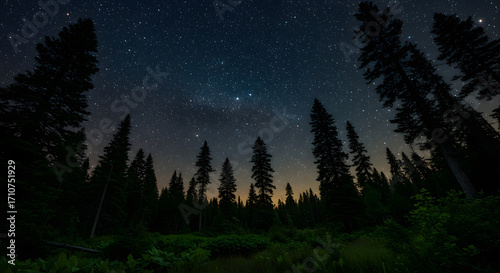 imaginary night sky