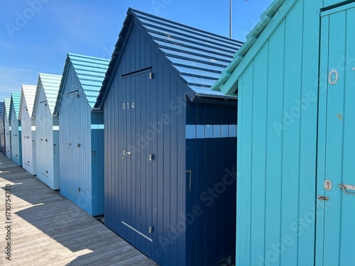 Bleues