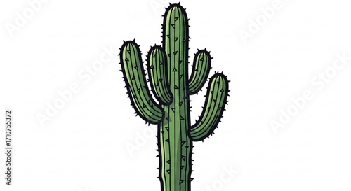 Illustration of a green saguaro cactus with spines for desert plant and nature designs and clip art use