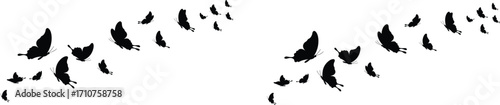 Silhouette of flying butterflies in artistic pattern, decorative nature tattoo design, black butterfly swarm isolated on white background for vector illustration